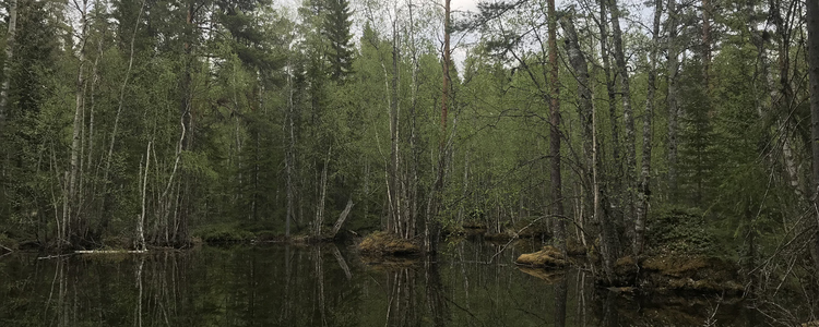 Småvatten.