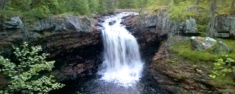 Skogslandskap med vattenfall. Foto: Staffan Öberg