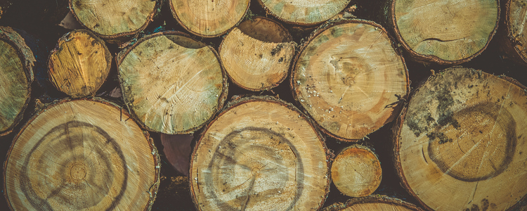 Raw Wood Logs Background. Lumber Works Photo Backdrop. Foto: MostPhotos