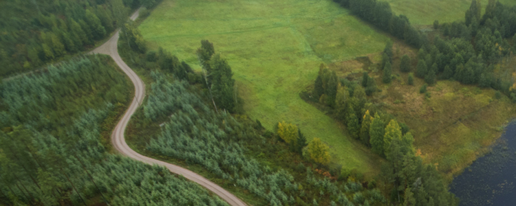 Bild från ovan som visar en väg genom skog och mark. 