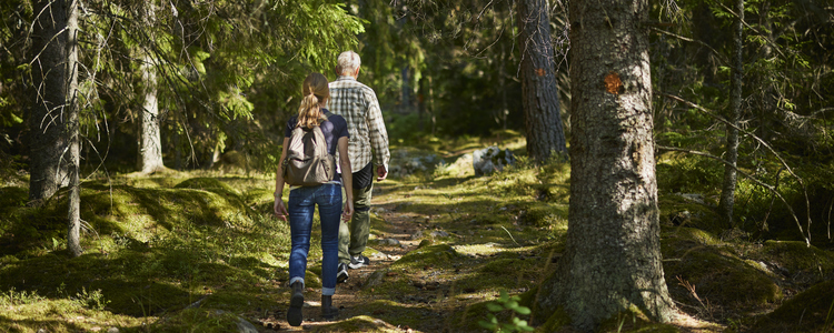 En man och en kvinna går på en skogsstig. Foto: Patrik Svedberg