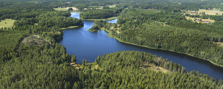 Drönarbild över skog och vatten. Foto: Patrik Svedberg