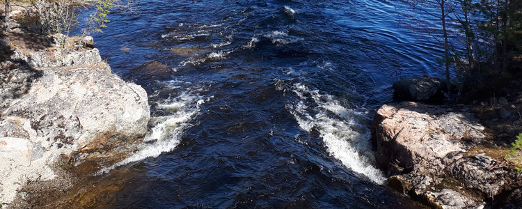 Fotot togs den 17 maj 2019, bredvid rastplatsen vid Entré Bodsjöstrupen. Det är här informationsslingan om Skogsbruk vid vatten, som projektet Triple Lakes har skapat, börjar. Det vi ser är Bodsjöbyån, som via Storselet, rinner ut i Bodsjöstrupen. Som i sin tur är en del av Bodsjön. Foto: Linda Nilsson