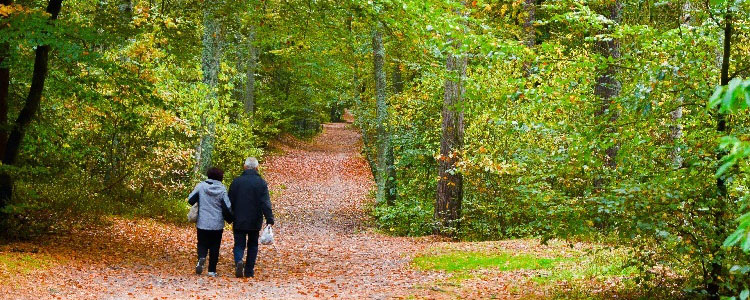 Two people walking in the forest in pilot area Vistula Spit. Foto: Jan Piotrowski