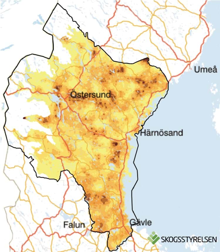 Karta som visar områden med mest viltskador i södra Norrland.