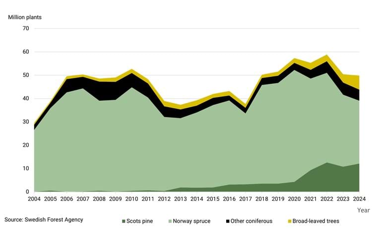 Diagram of number of introduced forest seedlings per tree species from 2024 to 2024.