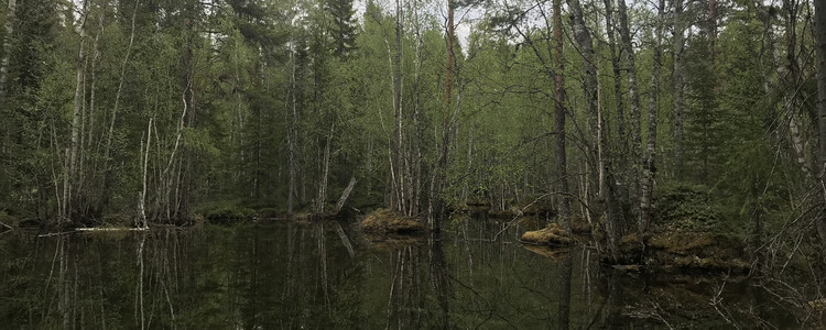 Småvatten.
