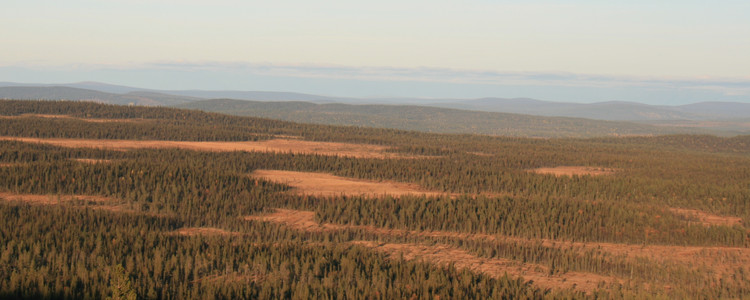 Myrlandskap